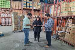 فعالیت کارشناسان بهداشت حرفه‌ای مرکز بهداشت رشت در روز تعطیل